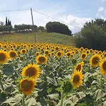 Casale Di Maro 3*