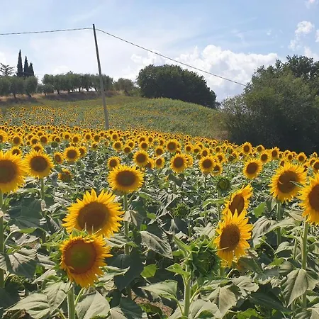 Casale Di Maro 3*
