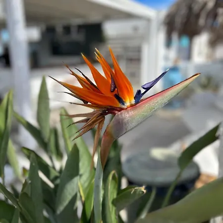 Frühstückspension Casale Di Maro 3*