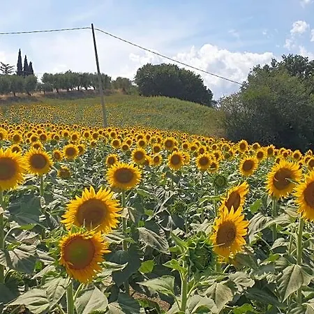 Bed & Breakfast Casale Di Maro 3*