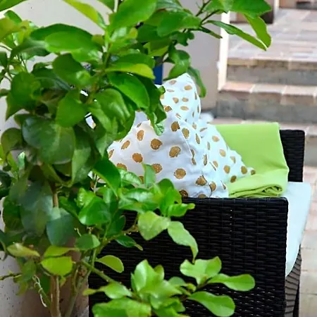 Casale Di Maro Bed & Breakfast